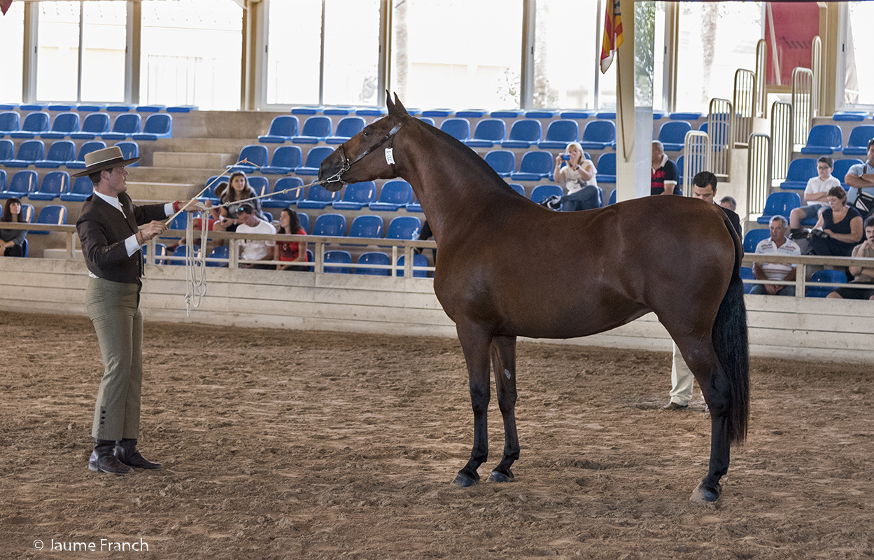 701 ESPRE15 DSC8194 8Cv