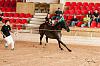 Camp. Balears Cavalls Raa Espanyola 0019