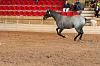 Camp. Balears Cavalls Raa Espanyola 0098