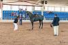 Camp. Balears Cavalls Raa Espanyola 0217