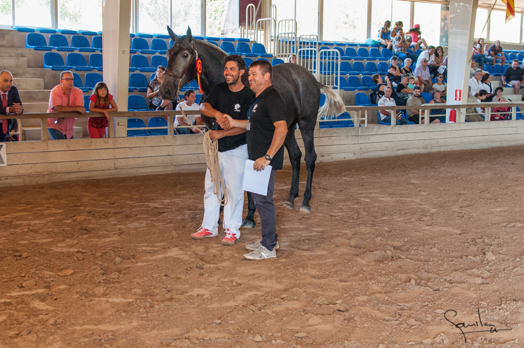 Camp. Balears Cavalls Raa Espanyola 0234