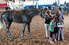 Camp. Balears Cavalls Raa Espanyola 0331
