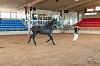 Camp. Balears Cavalls Raa Espanyola 0214