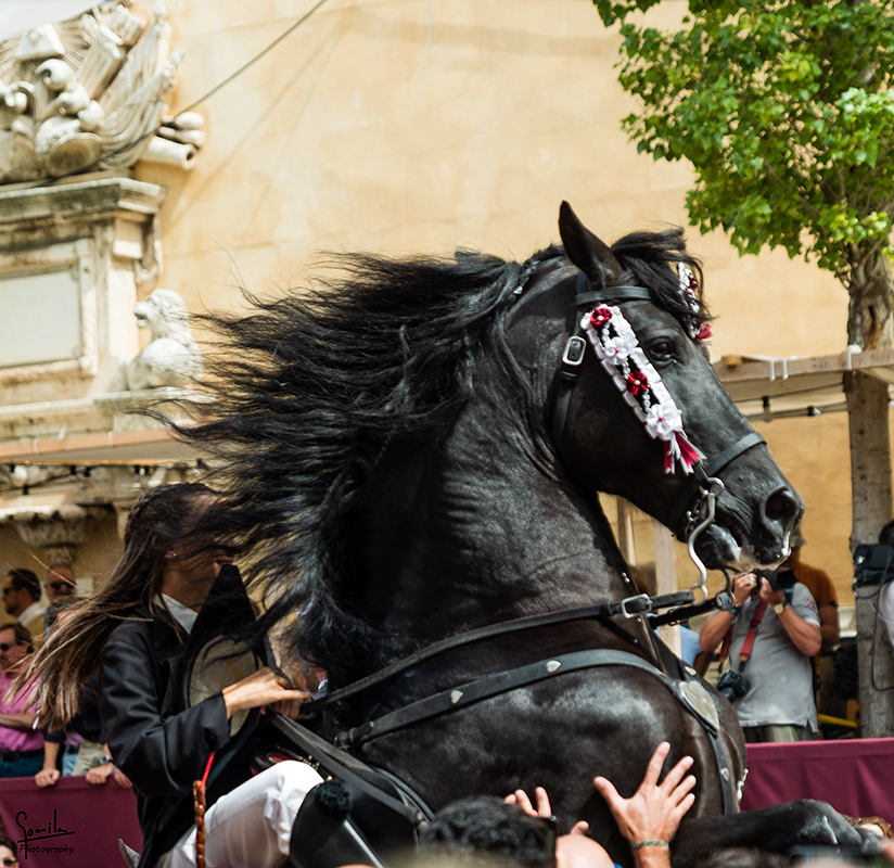 Nombre:  Festes de Gracia_0035.jpg
Visitas: 399
Tamao: 647.8 KB