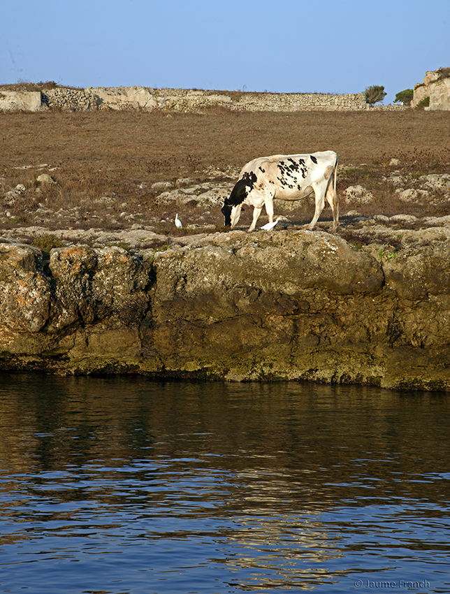 Nombre:  _DSC8485aS-8cv.jpg
Visitas: 27
Tamao: 673.3 KB